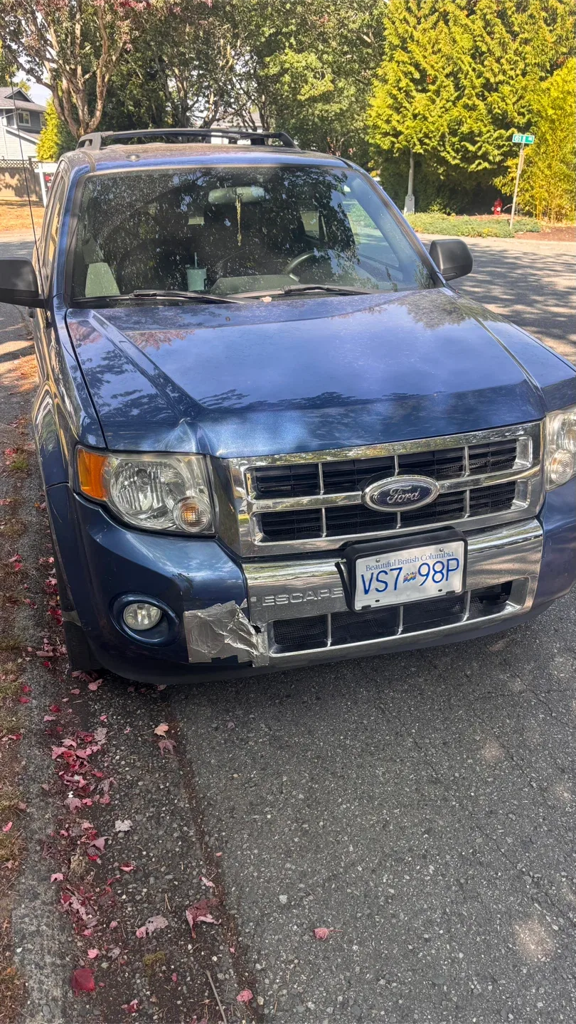 Ford escape 2010 image indicator(6)