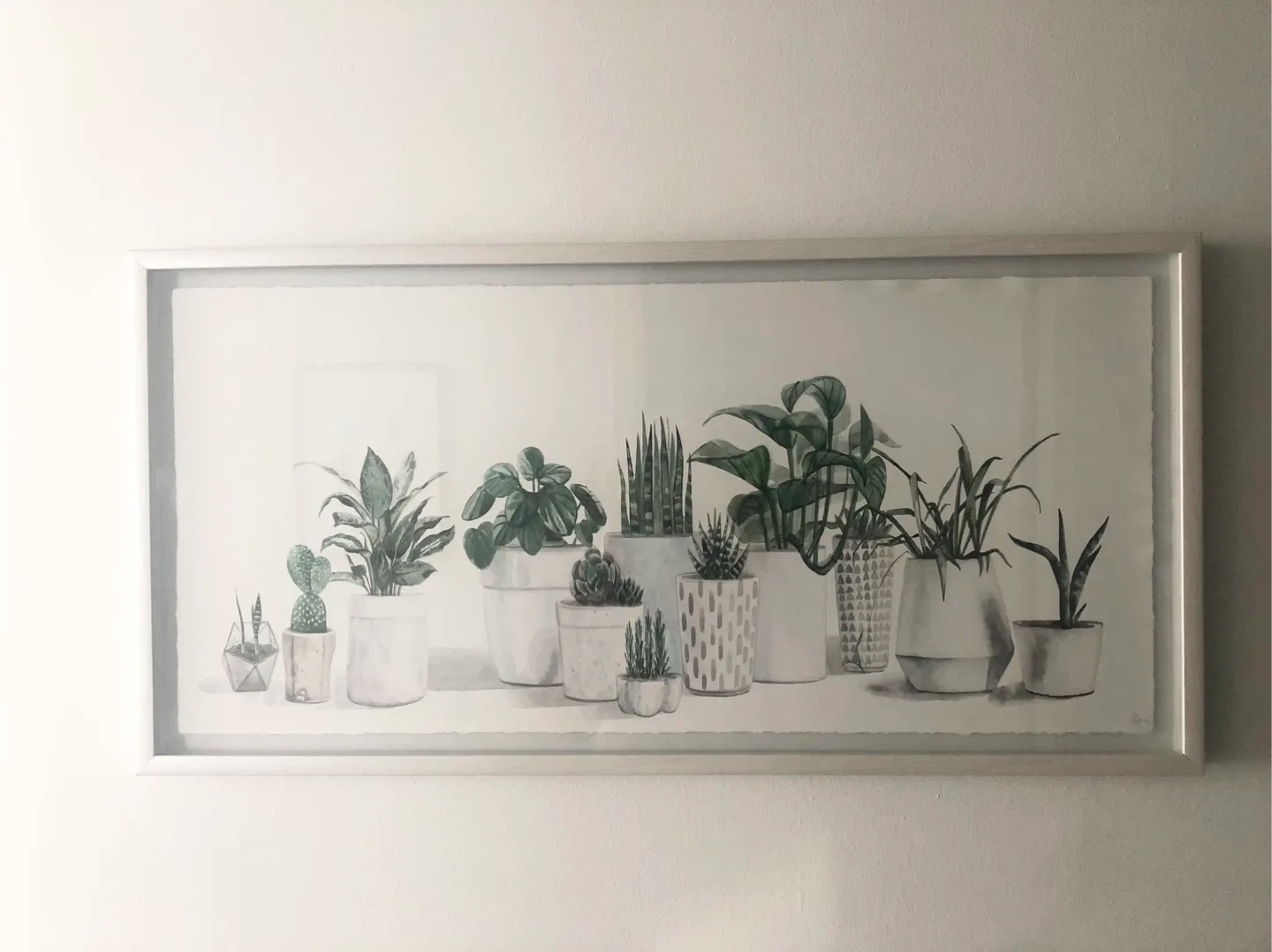 Framed succulent picture thumbnail
