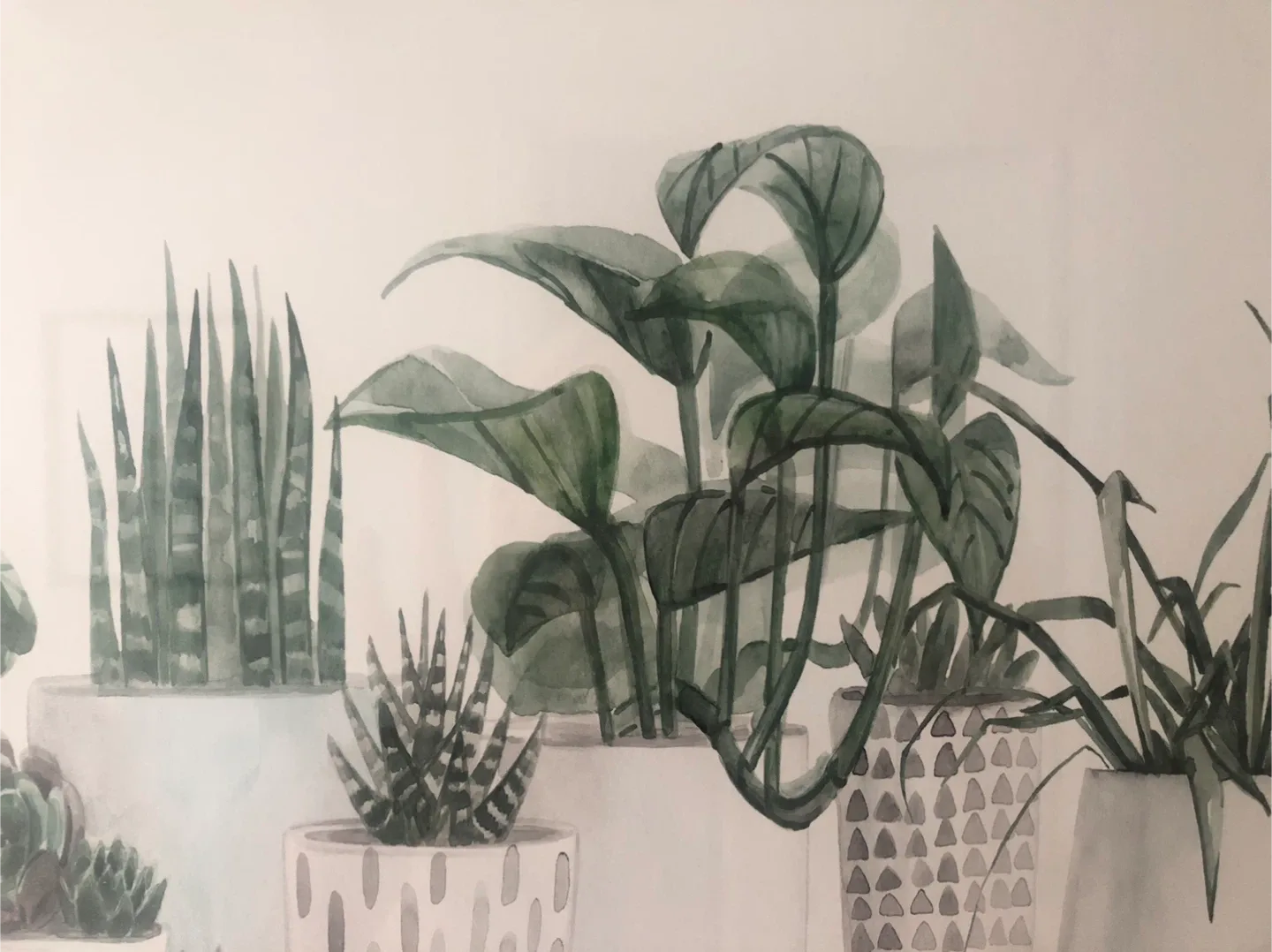 Framed succulent picture image indicator(2)