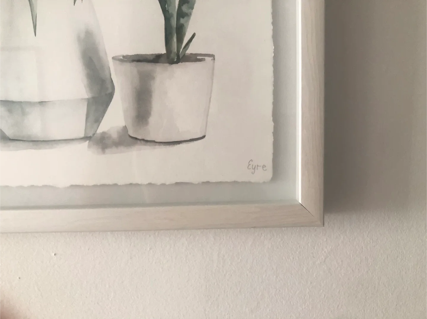 Framed succulent picture image indicator(3)