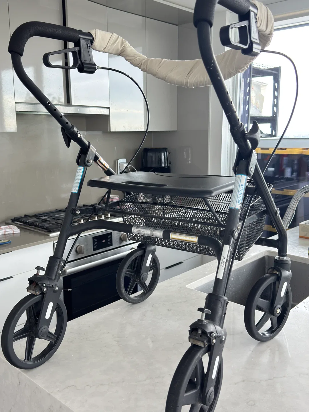 ProDe3 Walkers Aurora 19 Rolling Walker image indicator(7)