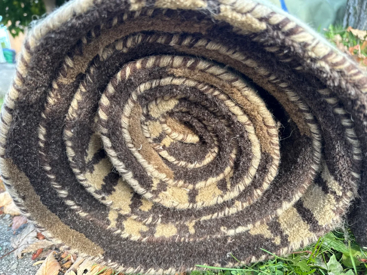 Free Brown Patterned Area Rug image indicator(2)