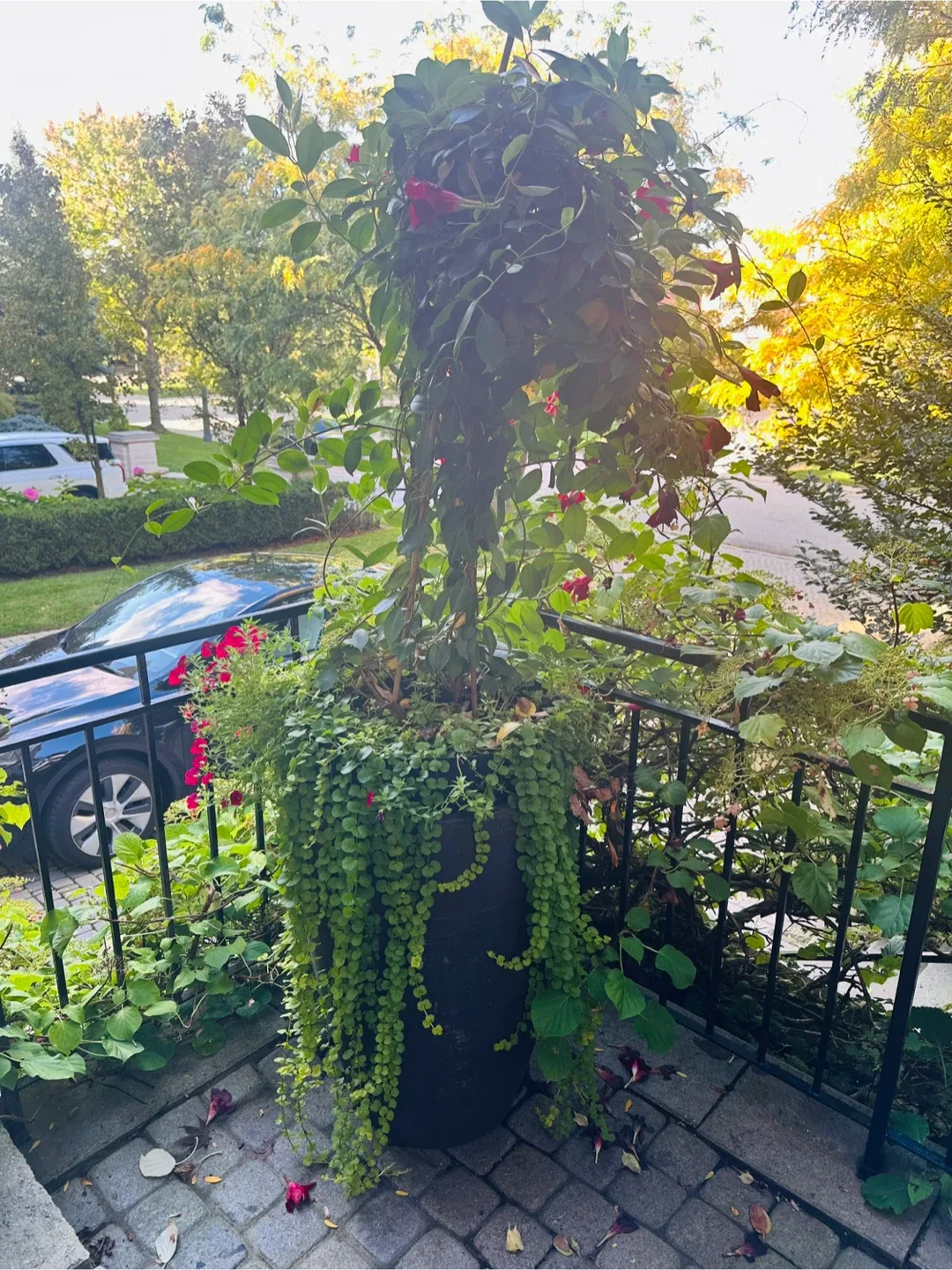 Large Brown Vase with Plant 🥕 image indicator(3)