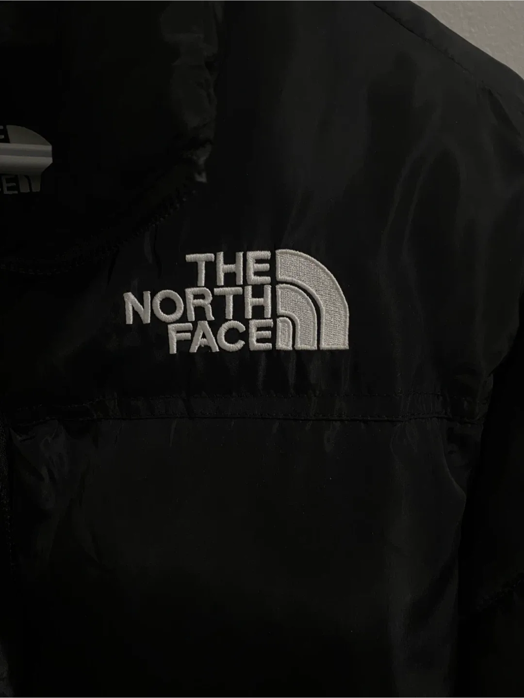 The North Face Jacket image indicator(2)