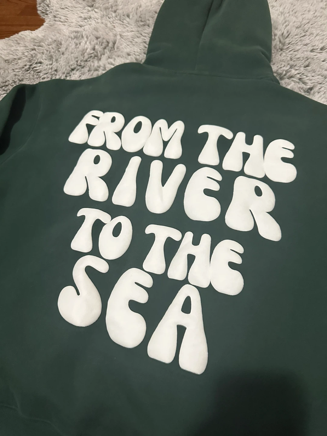 Green "Falastin" Hoodie with Watermelon Detail - photo 5