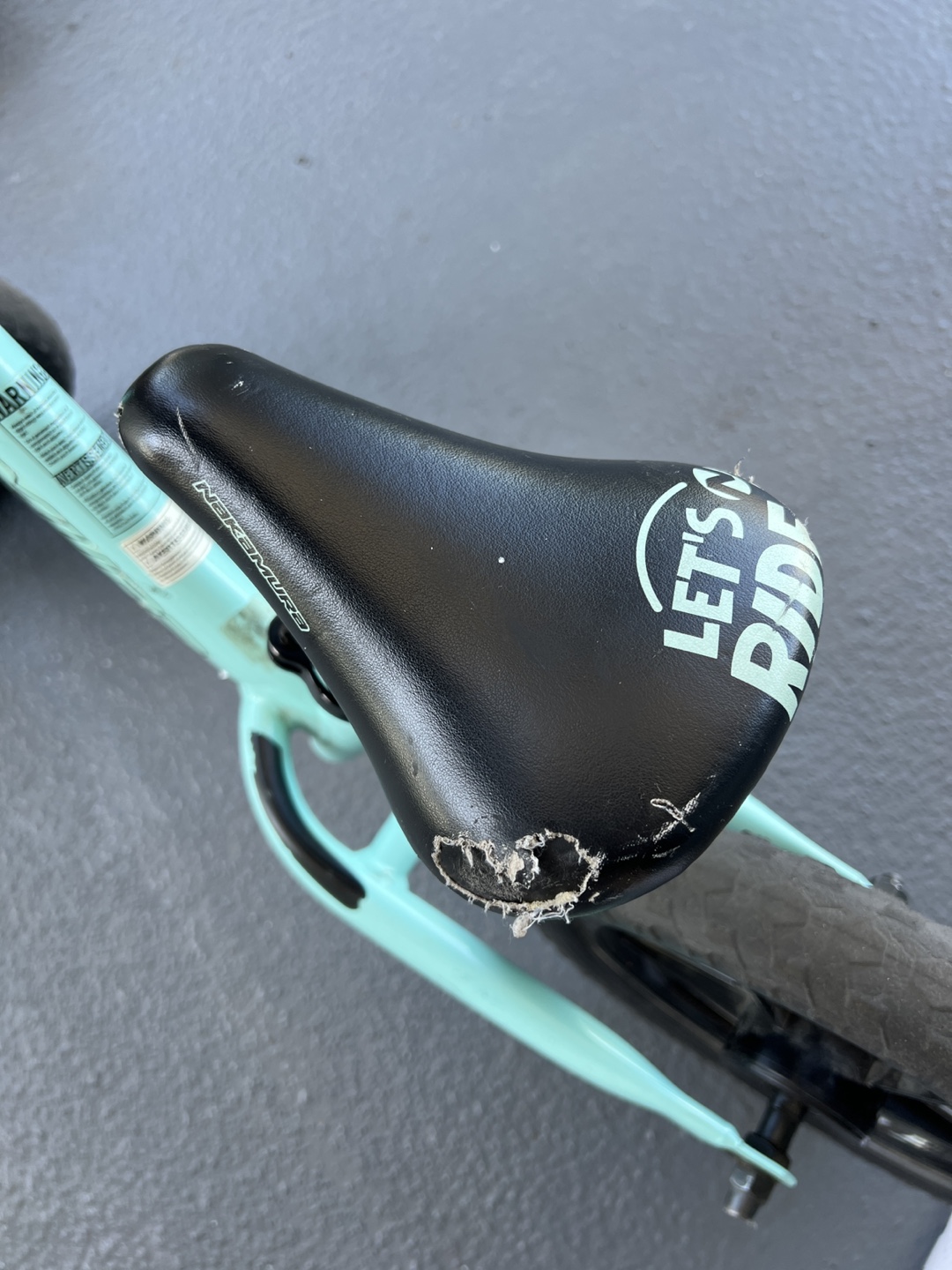 Nakamura Balance Bike - Kids' First Ride! - photo 3