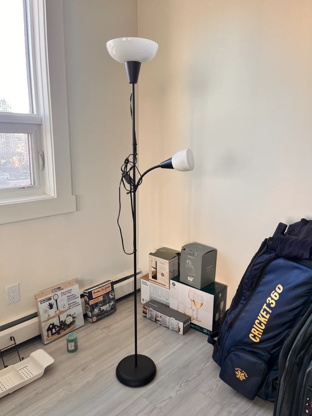 Floor Lamp with Adjustable Reading Light