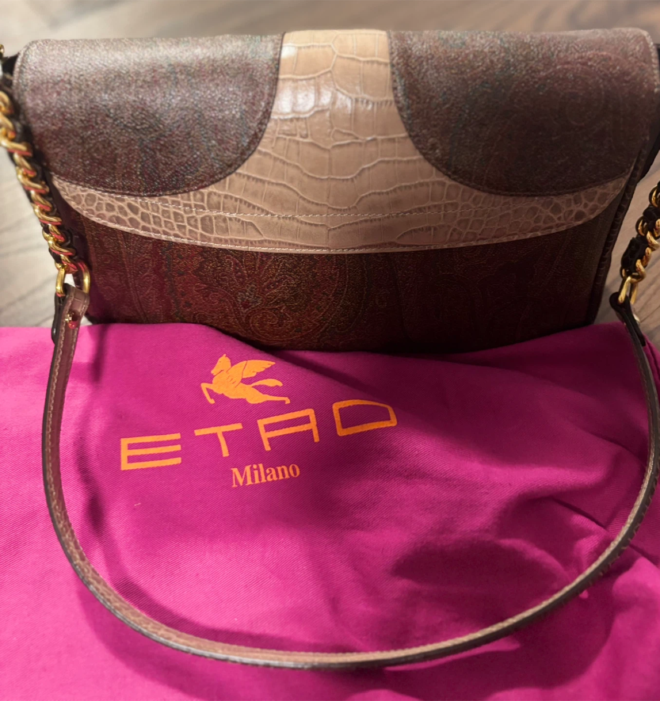 Etro Milano Brown Leather Shoulder Bag - photo 3