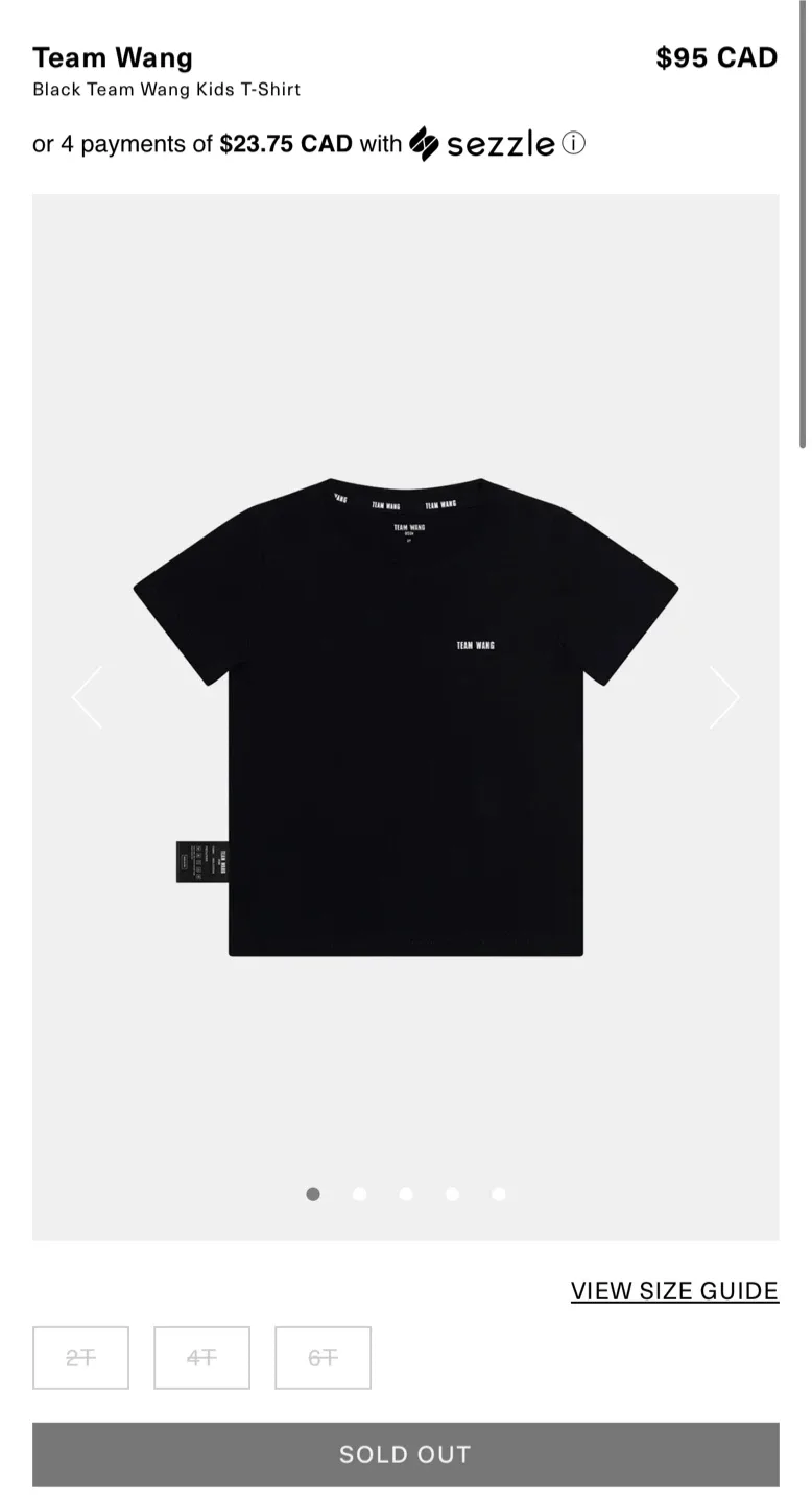 Team Wang Black T-Shirt image indicator(3)