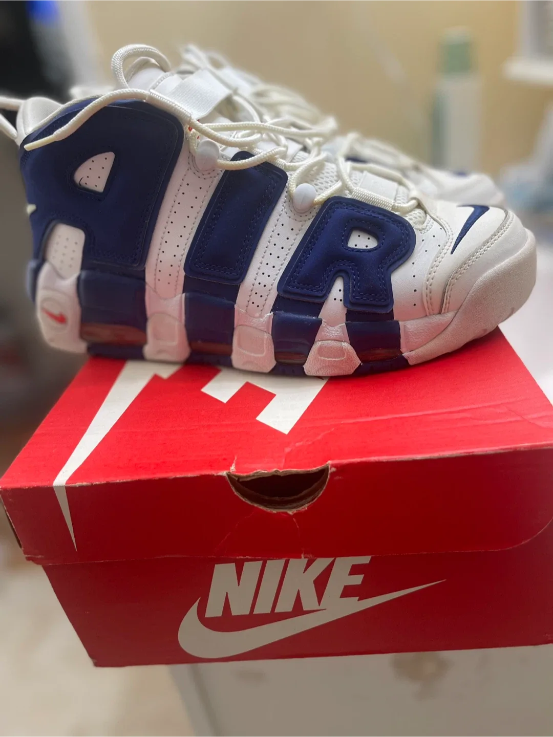 Nike Air More Uptempo '96 Size 9 image indicator(6)