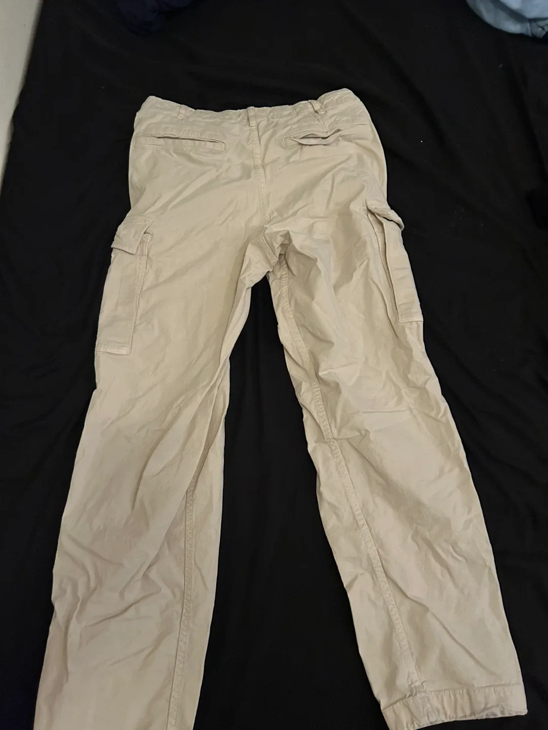 Uniqlo cargo pants image indicator(2)