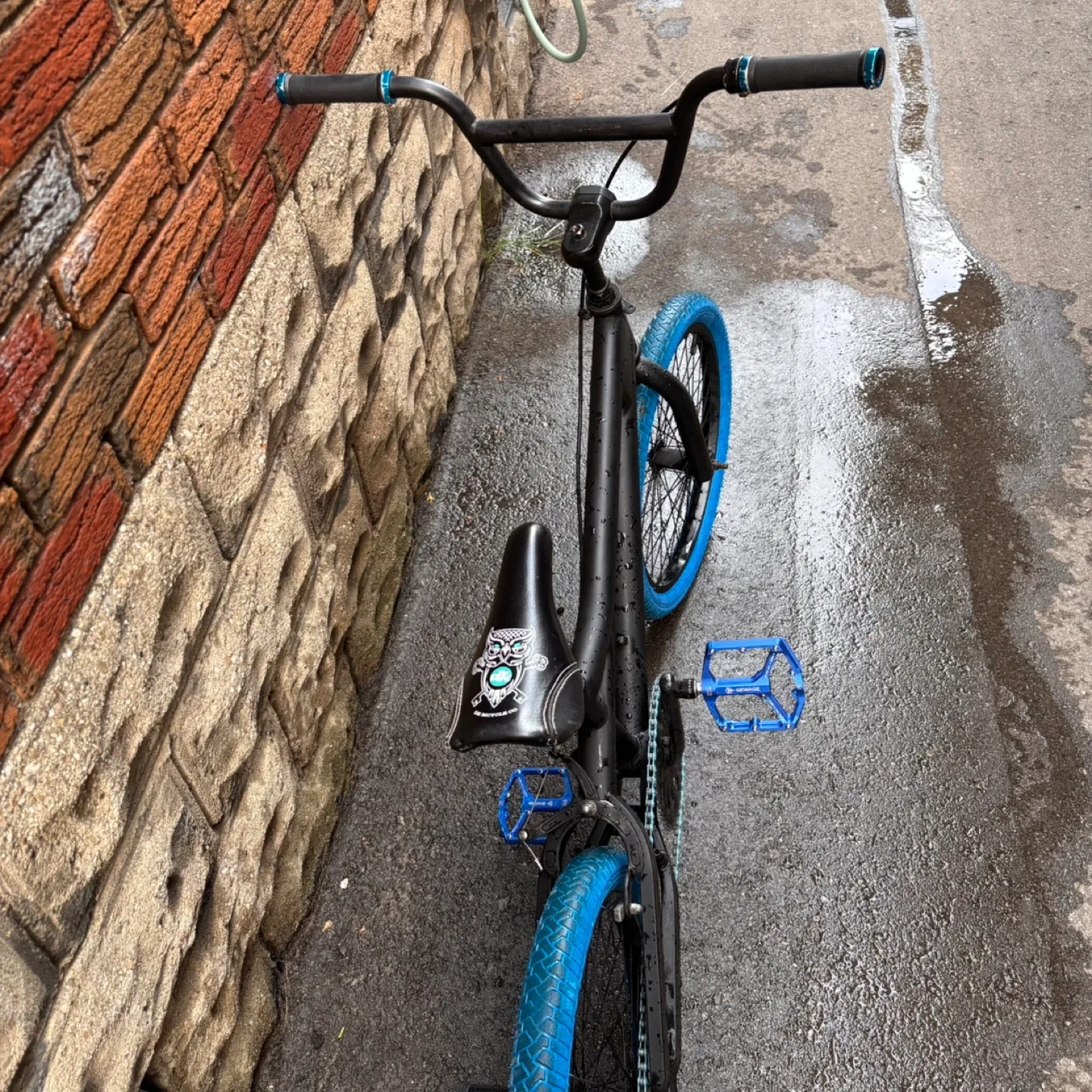 Blue BMX bike image indicator(3)