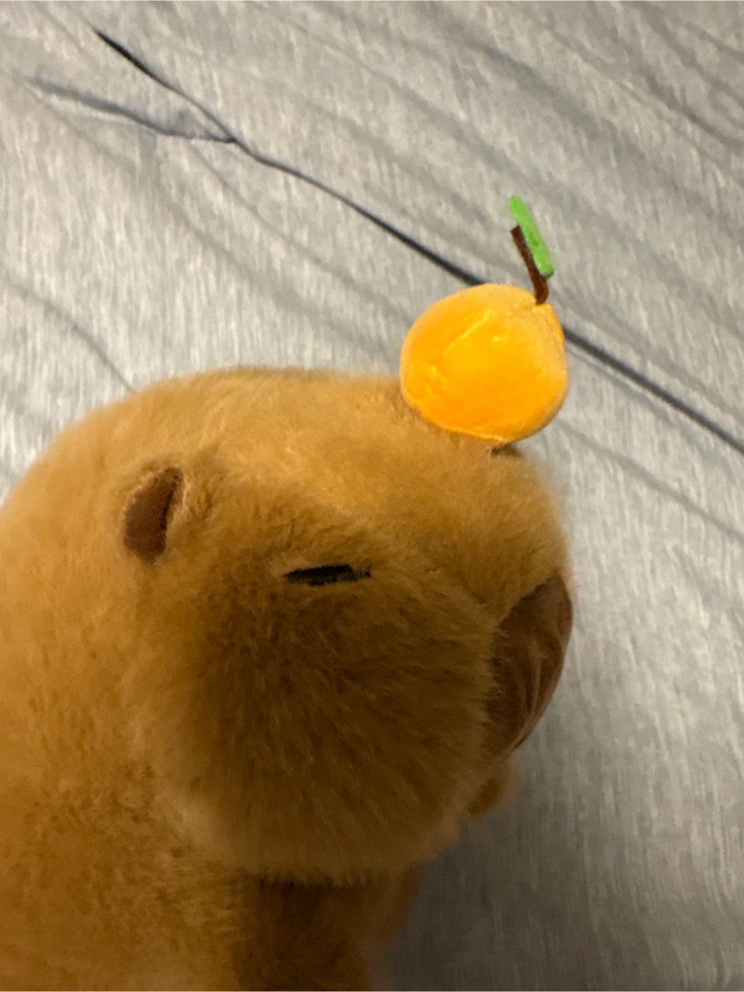 Capybara Plush - photo 3
