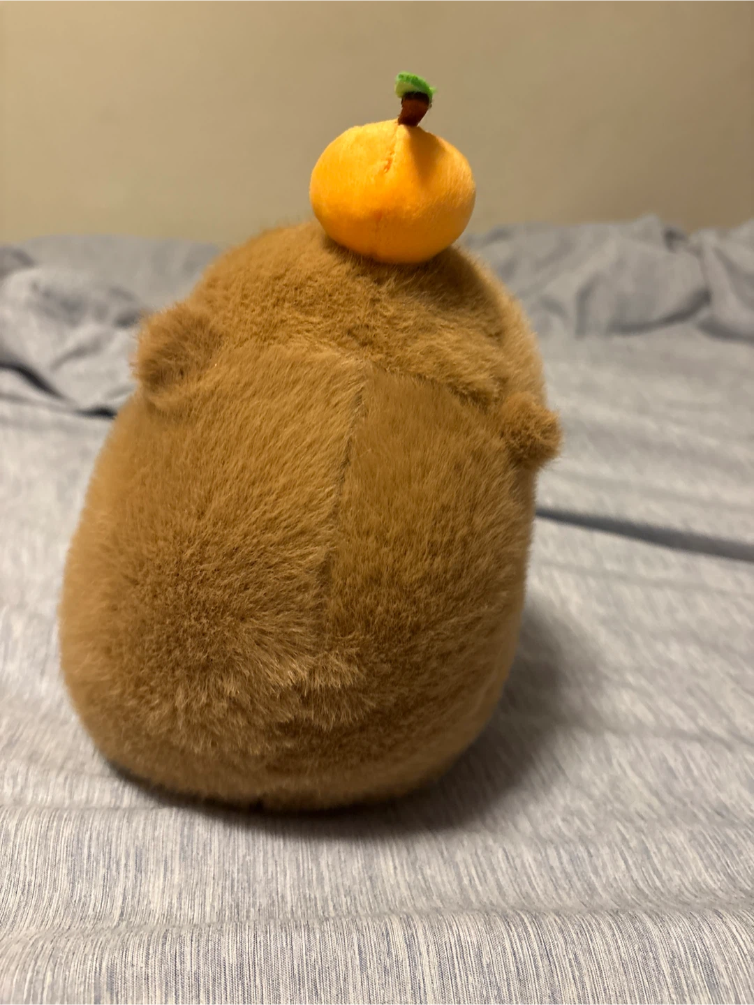 Capybara Plush - photo 2