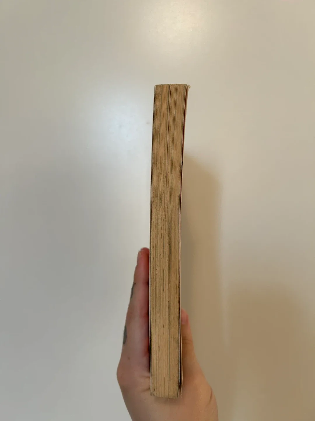 Trigun Maximum Manga Vol 1 image indicator(4)