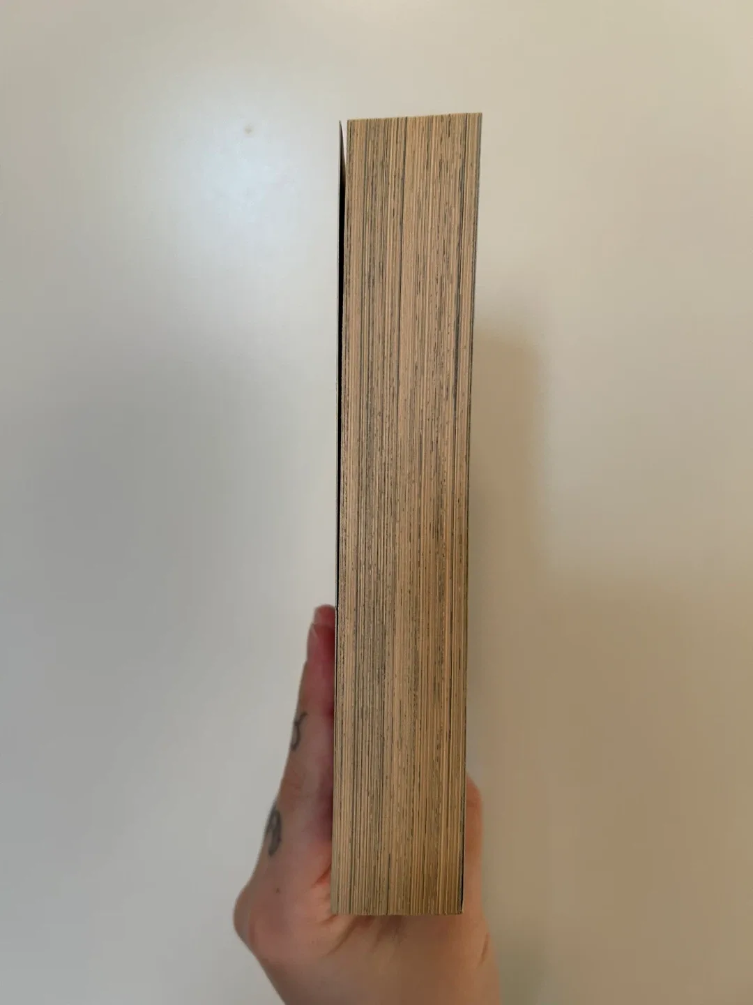 Trigun Manga Volume 2 by Yasuhiro Nightow image indicator(4)