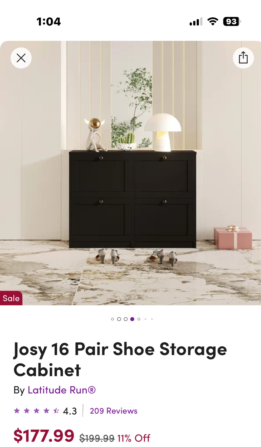Latitude Run Josy Shoe Storage Cabinet - Black