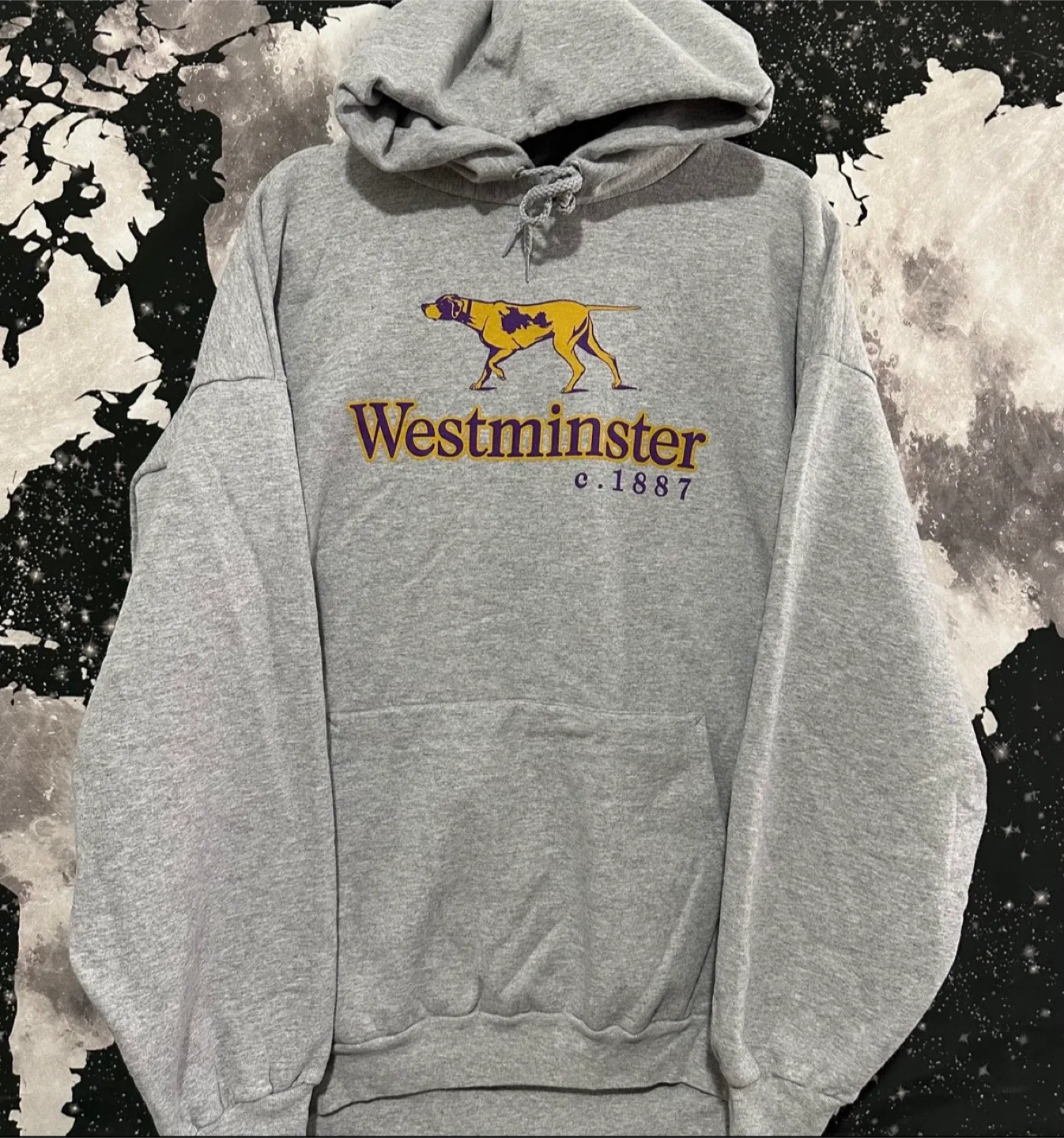 Westminster Kennel Club Hoodie thumbnail