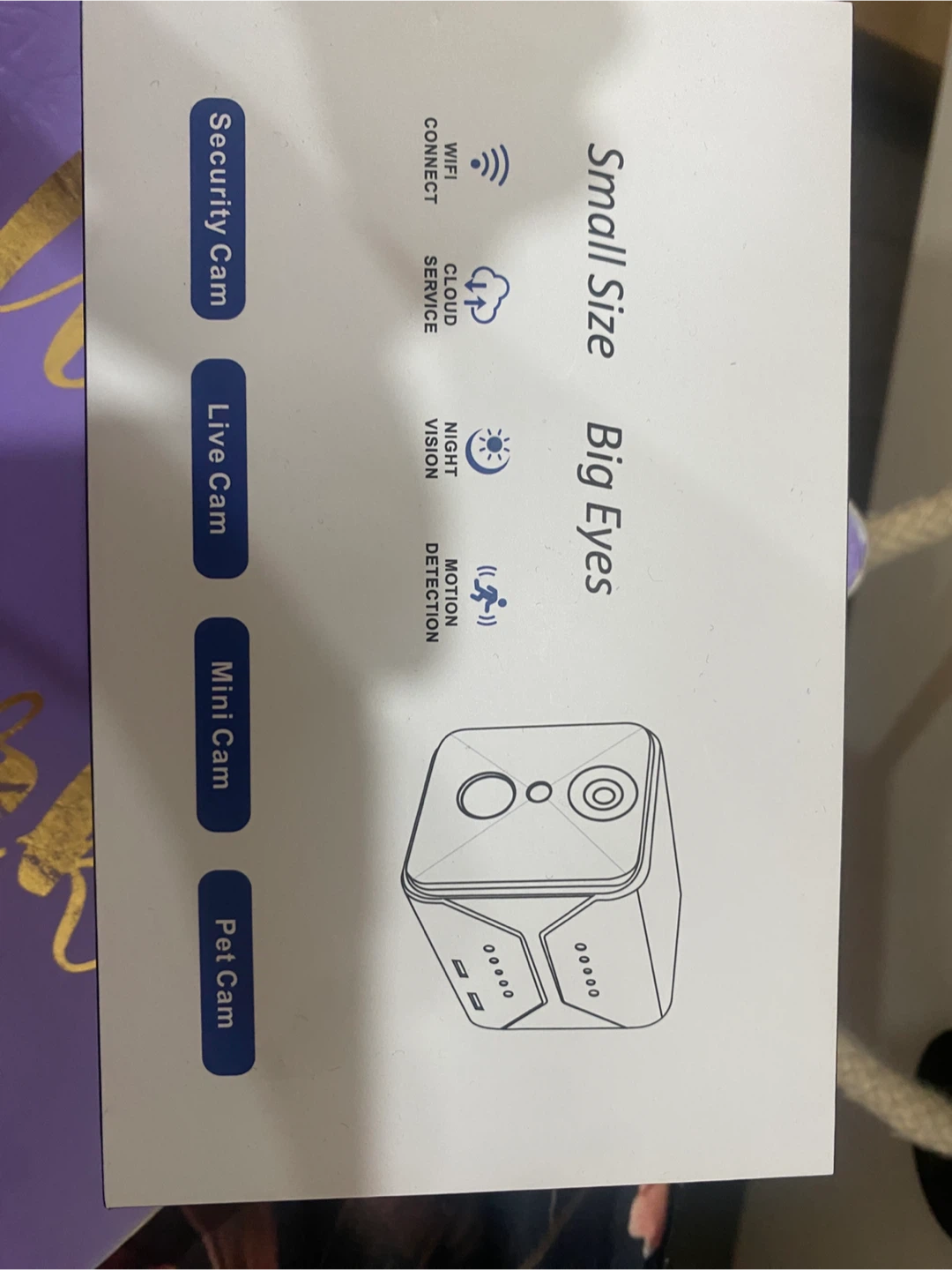 Big Eyes Security Camera