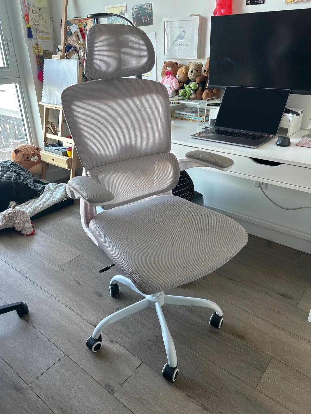 Ergonomic Office Chair - Like New!