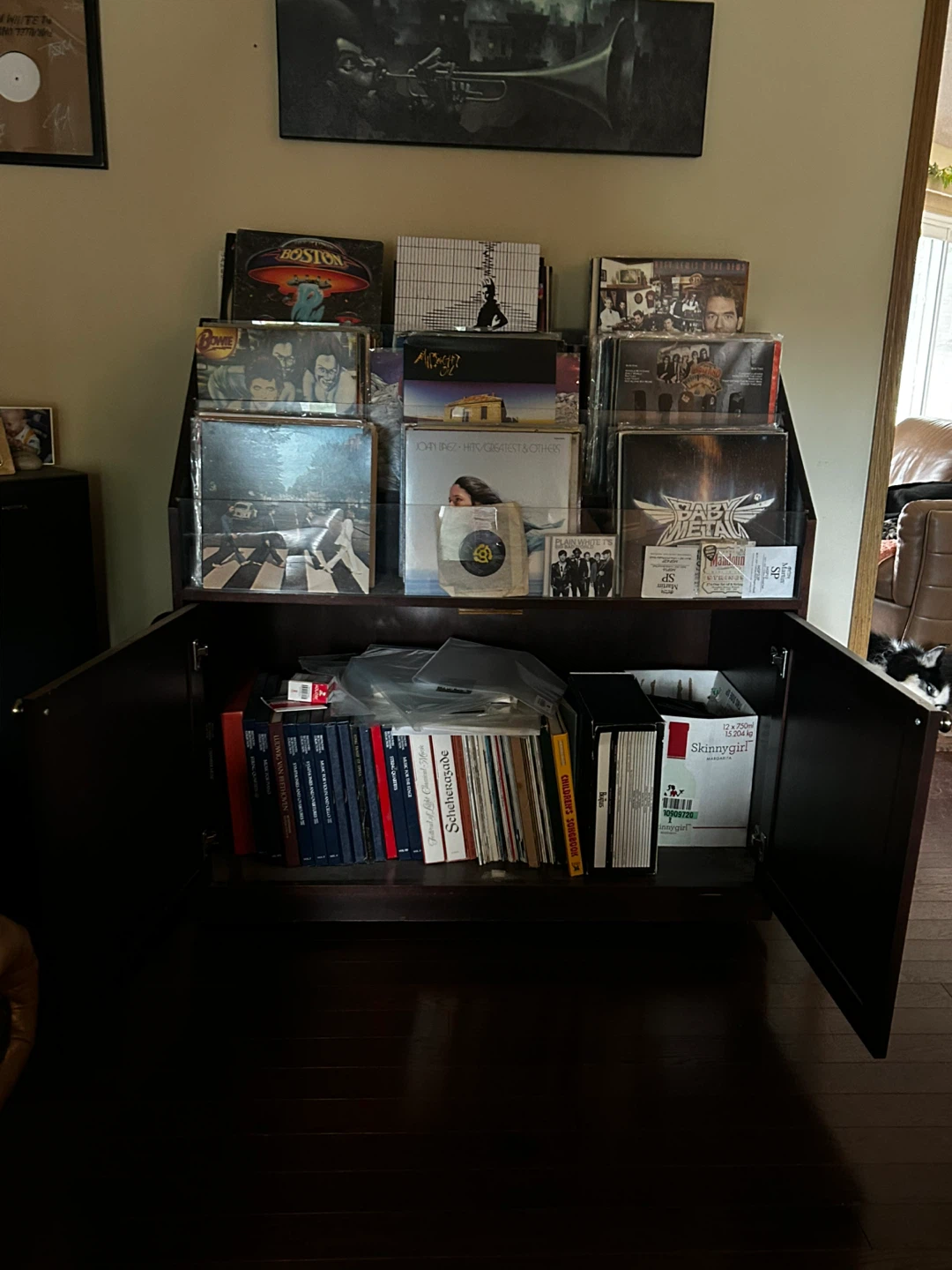 Wood display Cabinet used for Vinyl Records - photo 2