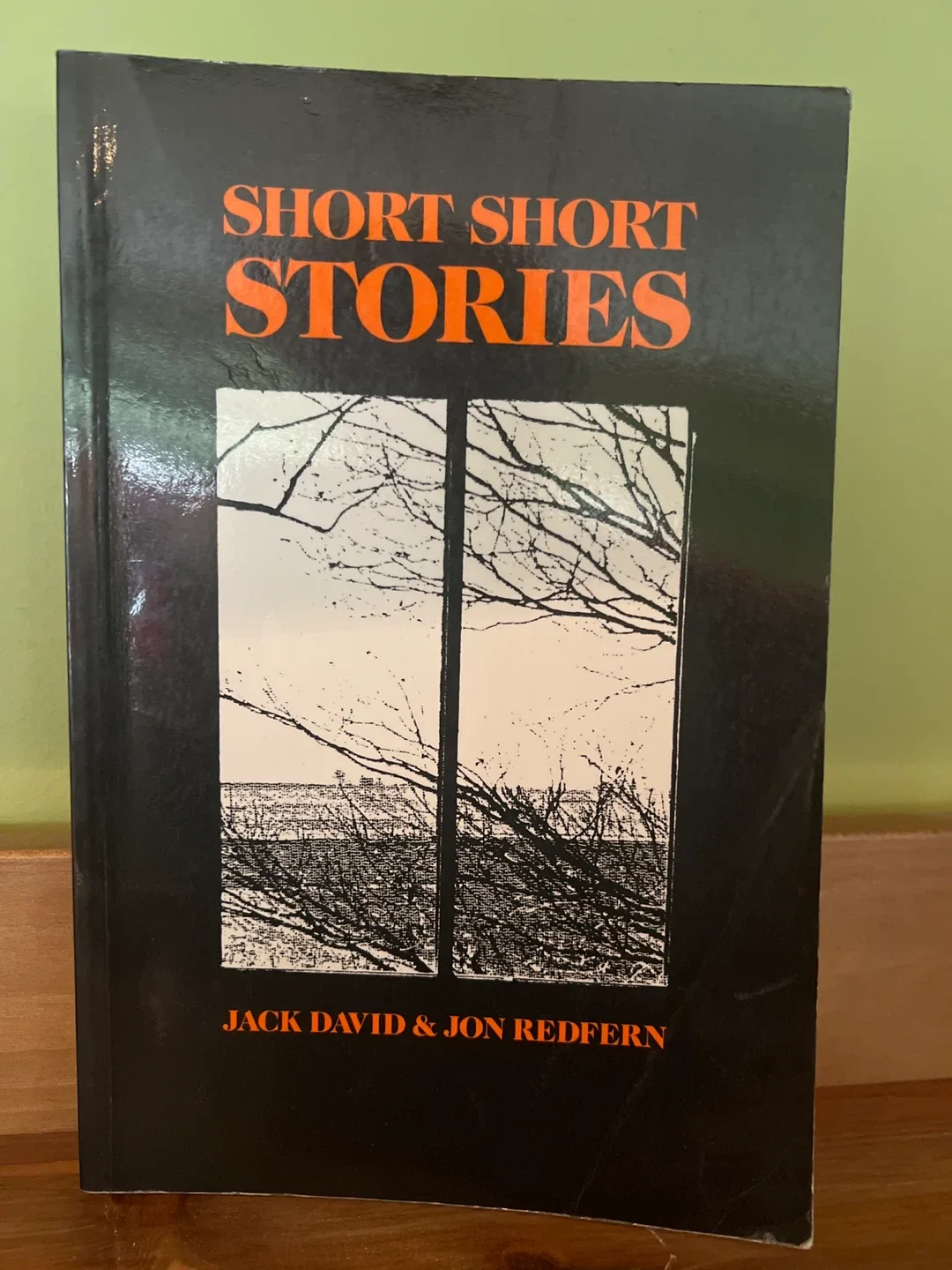 Short Short Stories by Jack David & Jon Redfern thumbnail