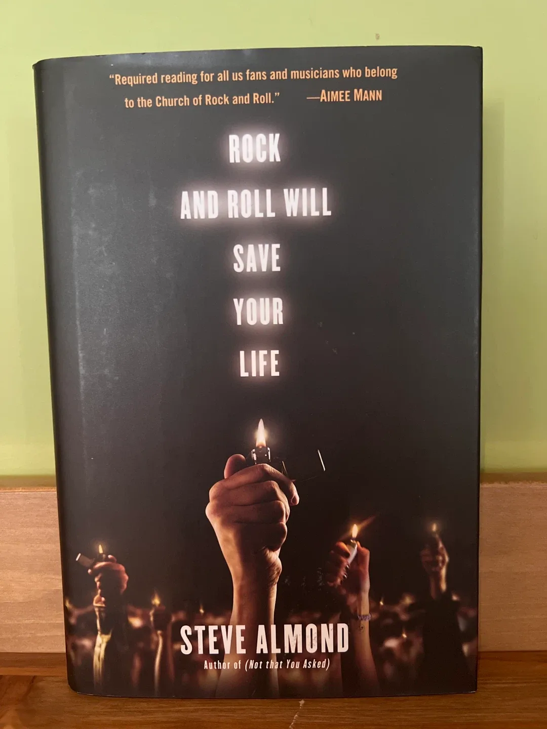 Rock and Roll Will Save Your Life by Steve Almond thumbnail