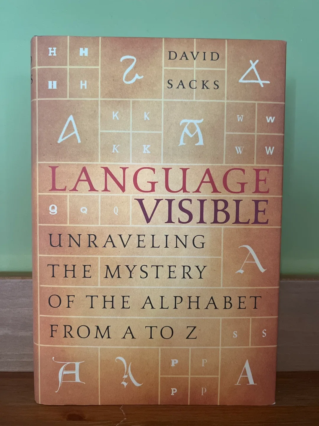 Language Visible by David Sacks thumbnail
