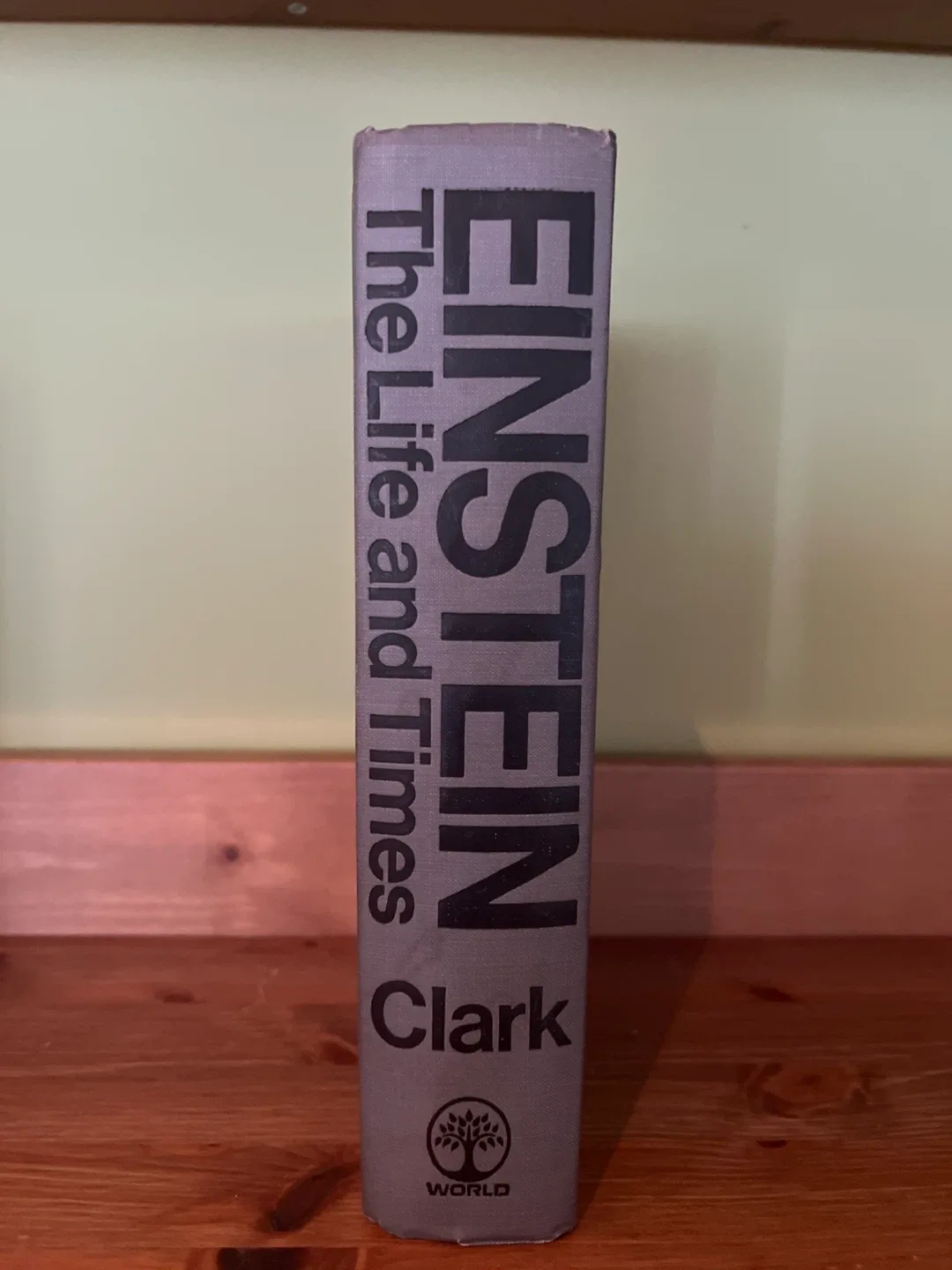 Einstein: The Life and Times by Clark thumbnail