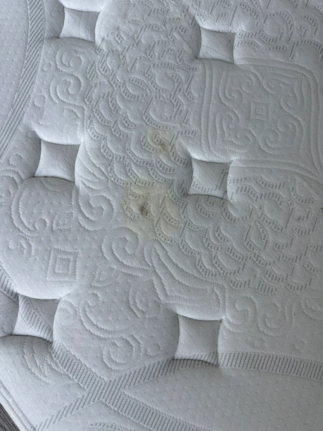 Queen Mattress- Kingsdown Studio Burton Mattress image indicator(5)