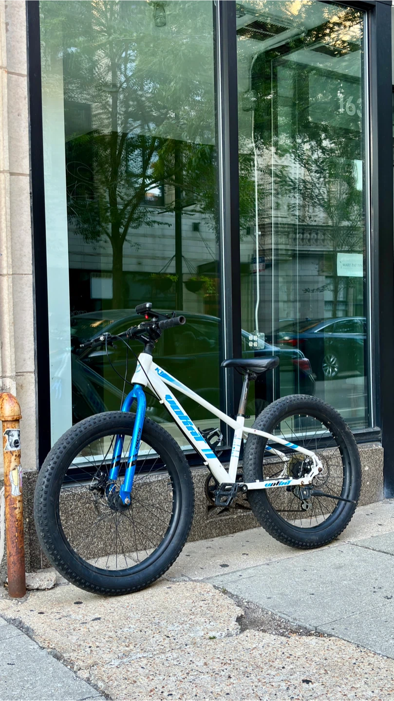 Mountain bike 24”