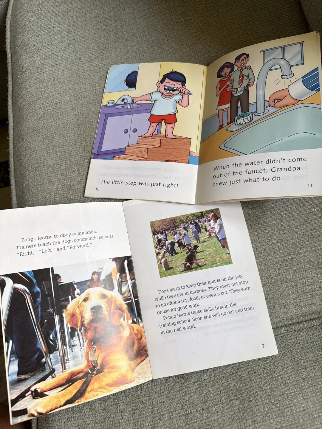 Helping Dogs & No Problem Children's Books image indicator(2)