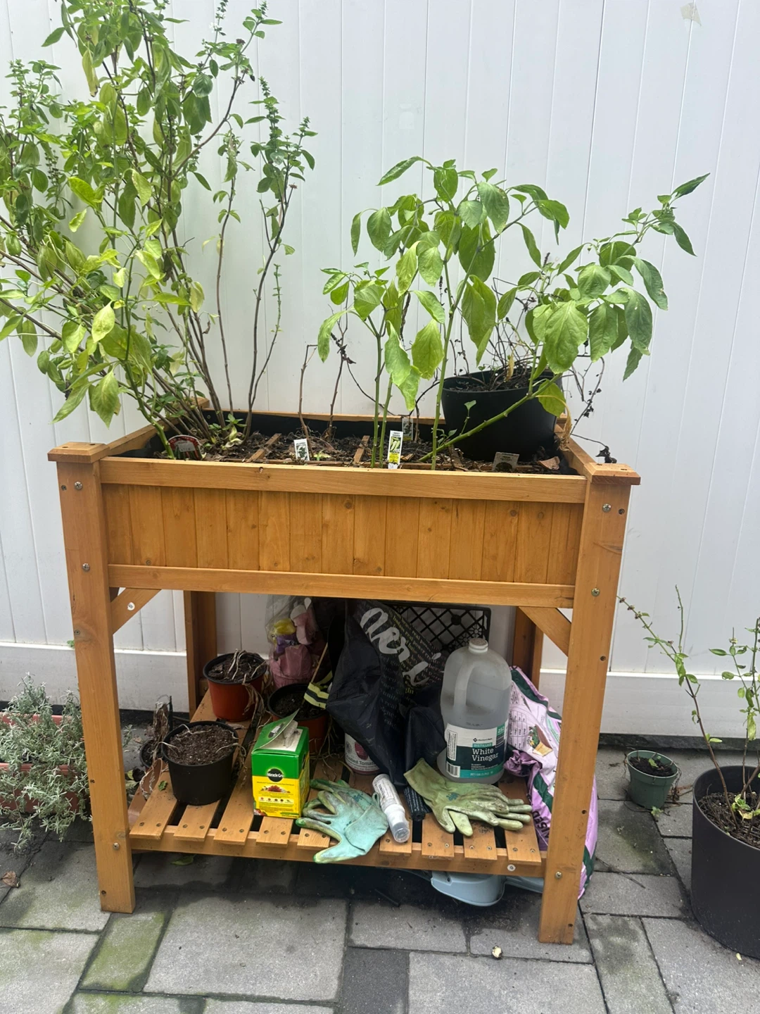 Wood Raised Garden Bed with Shelf