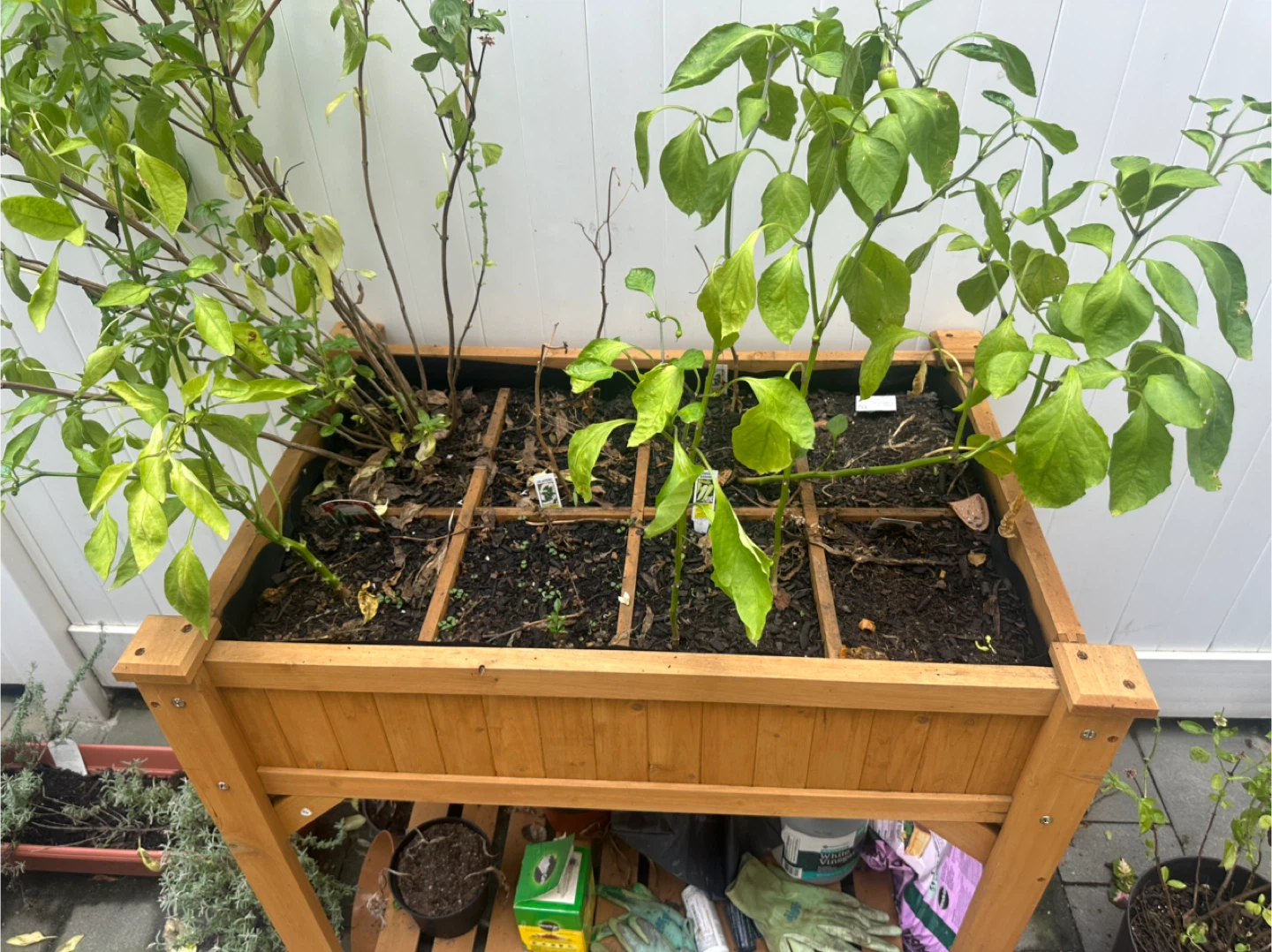 Wood Raised Garden Bed with Shelf - photo 2