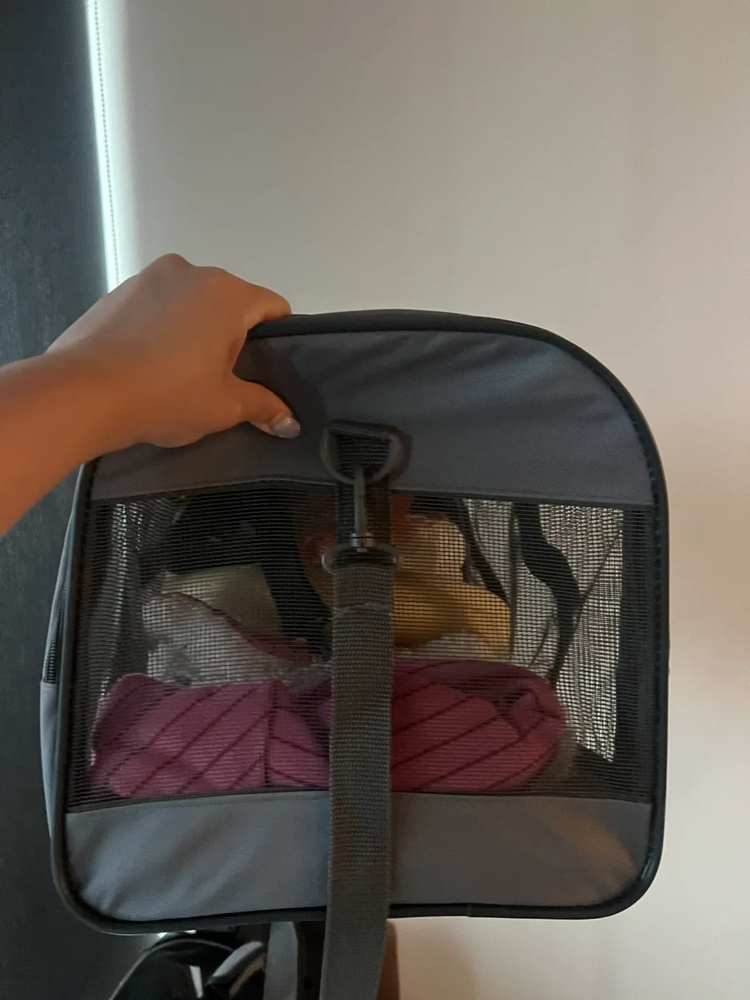 Grey Pet Carrier image indicator(2)