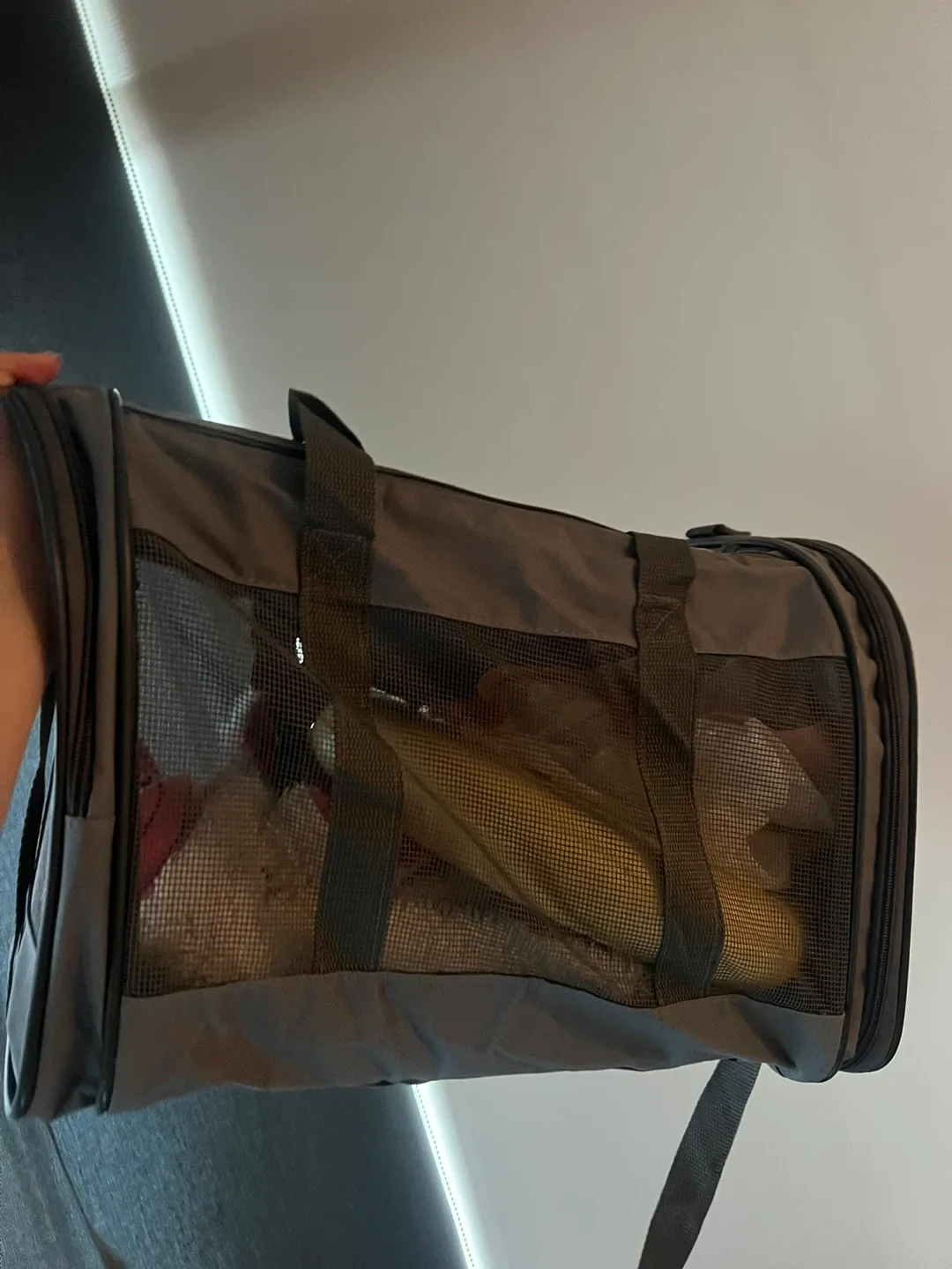 Grey Pet Carrier image indicator(3)