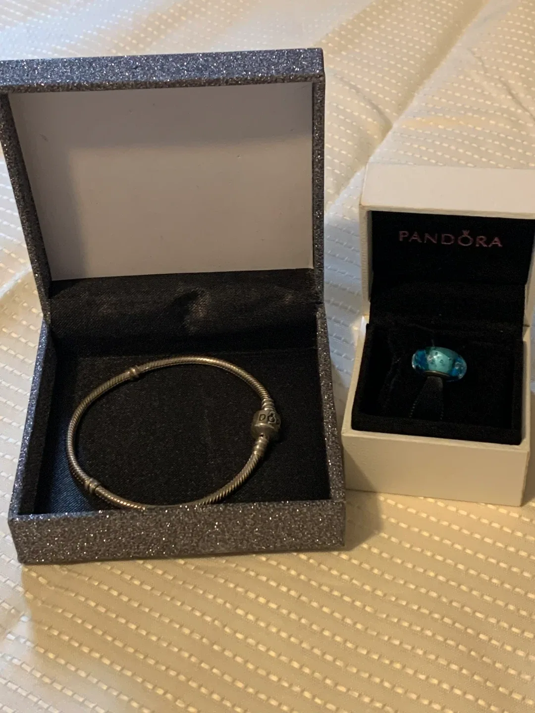 Pandora Moments Bracelet & Charm
