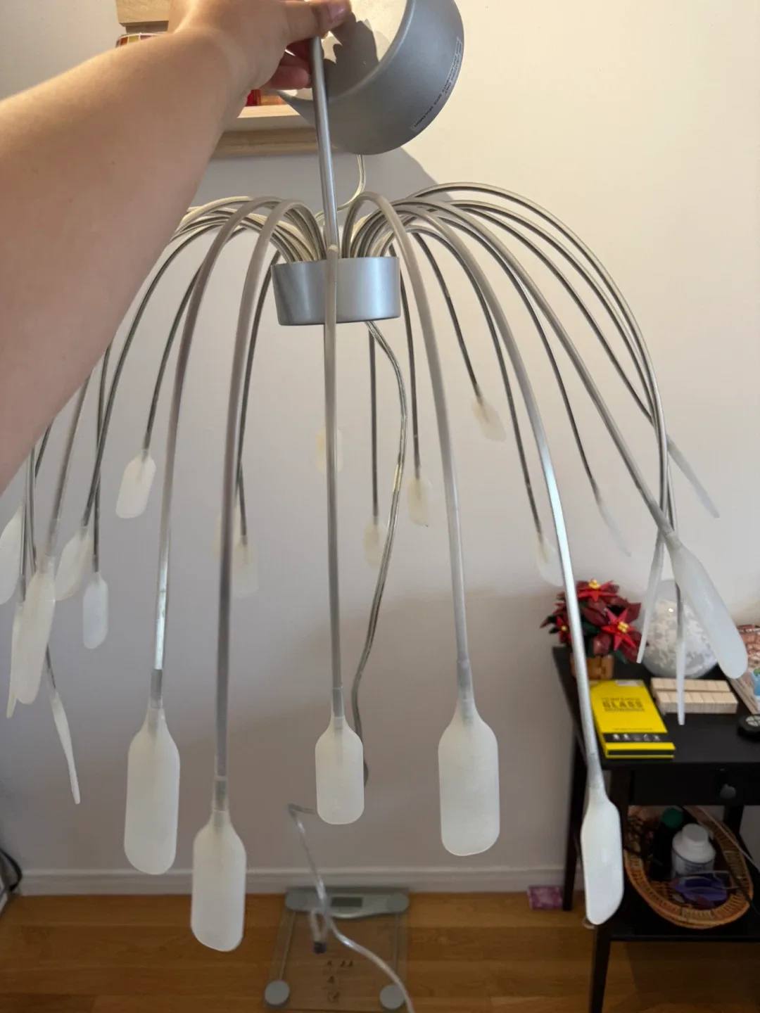 Dandelion Style Chandelier image indicator(2)