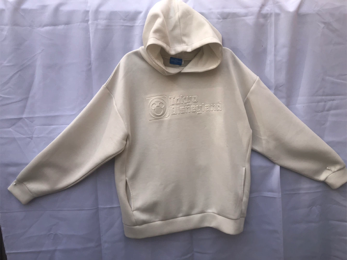 Tokyo Disneyland Disney Resort Hoodie - Size L