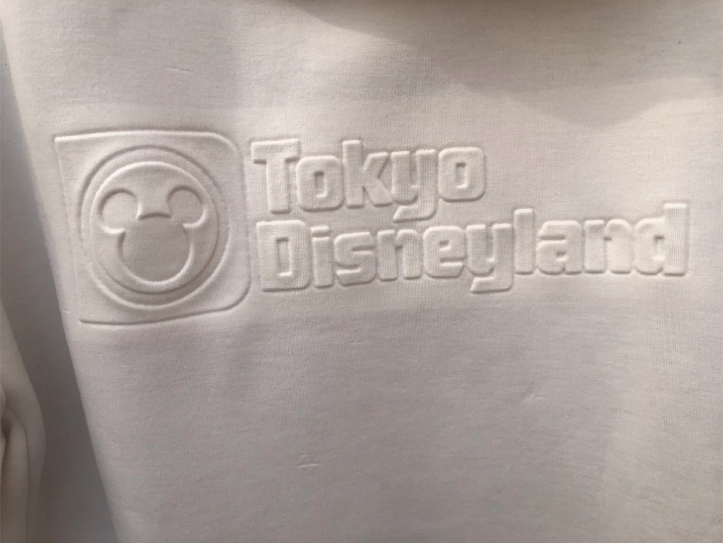 Tokyo Disneyland Disney Resort Hoodie - Size L - photo 4