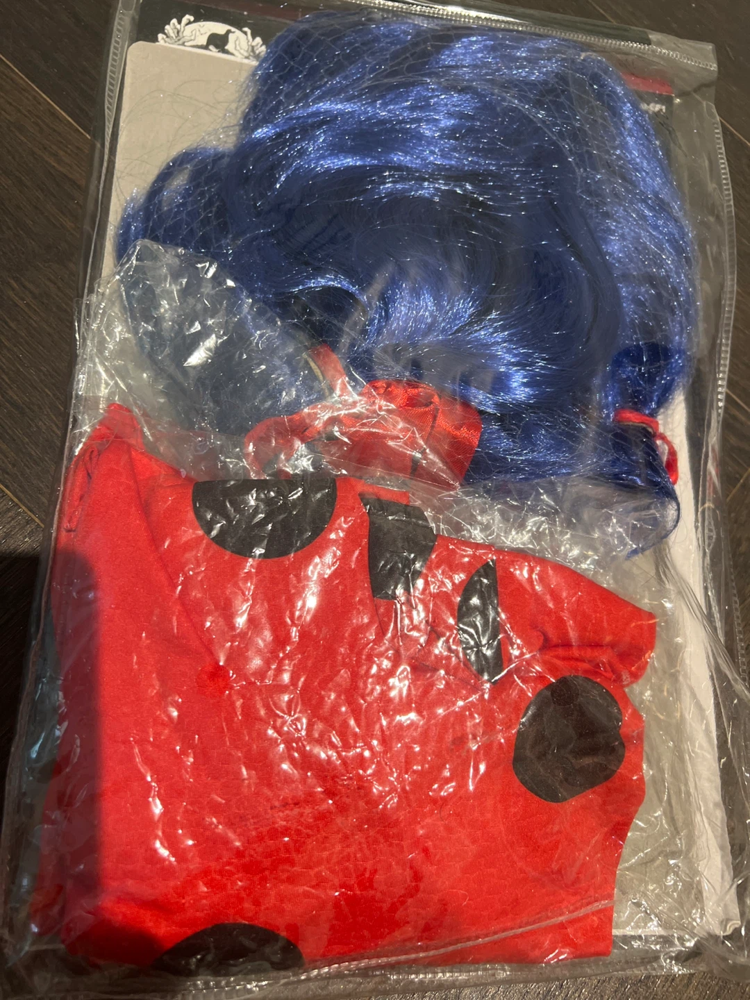 Ladybug Suit - Child X-Small/Small - photo 2