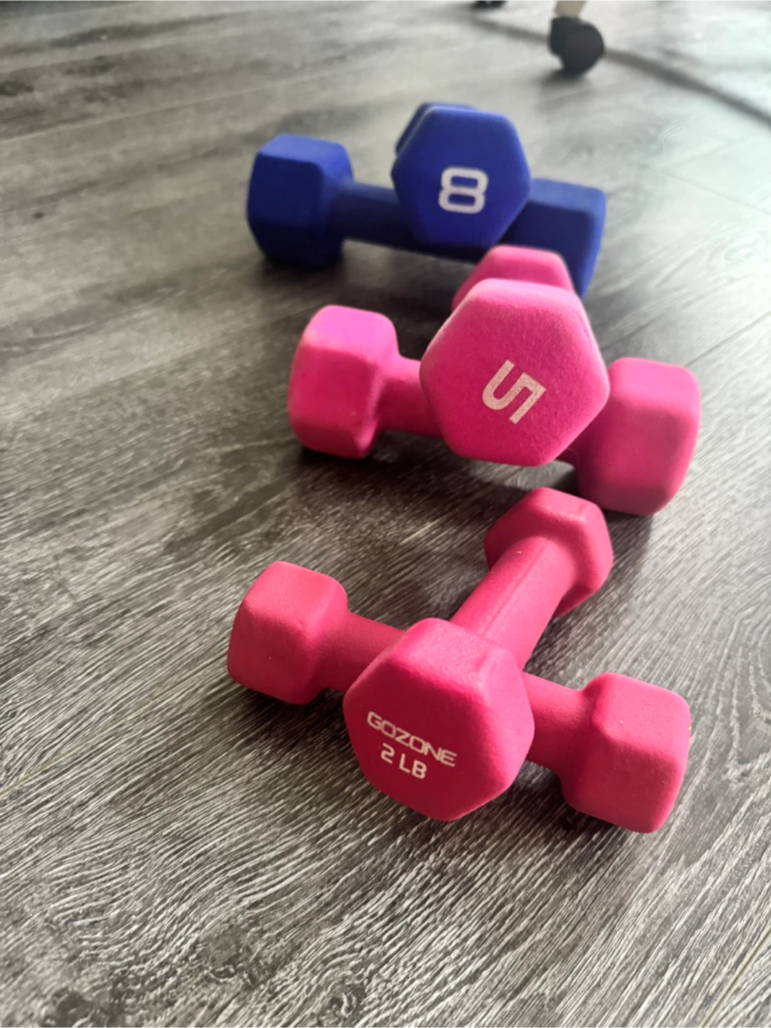 GoZone 5lb & 8lb Dumbbell Set