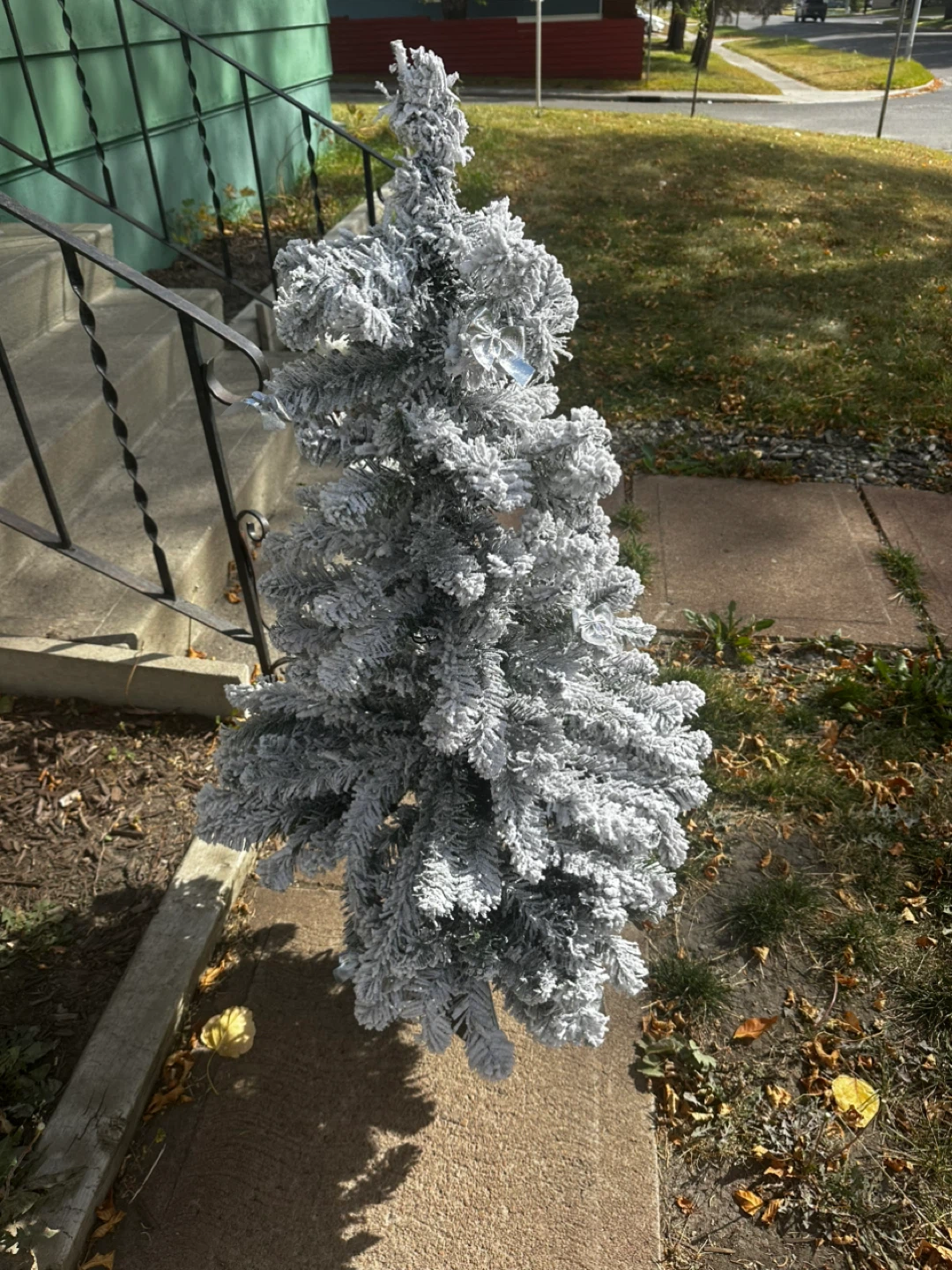 Small Flocked Christmas Tree