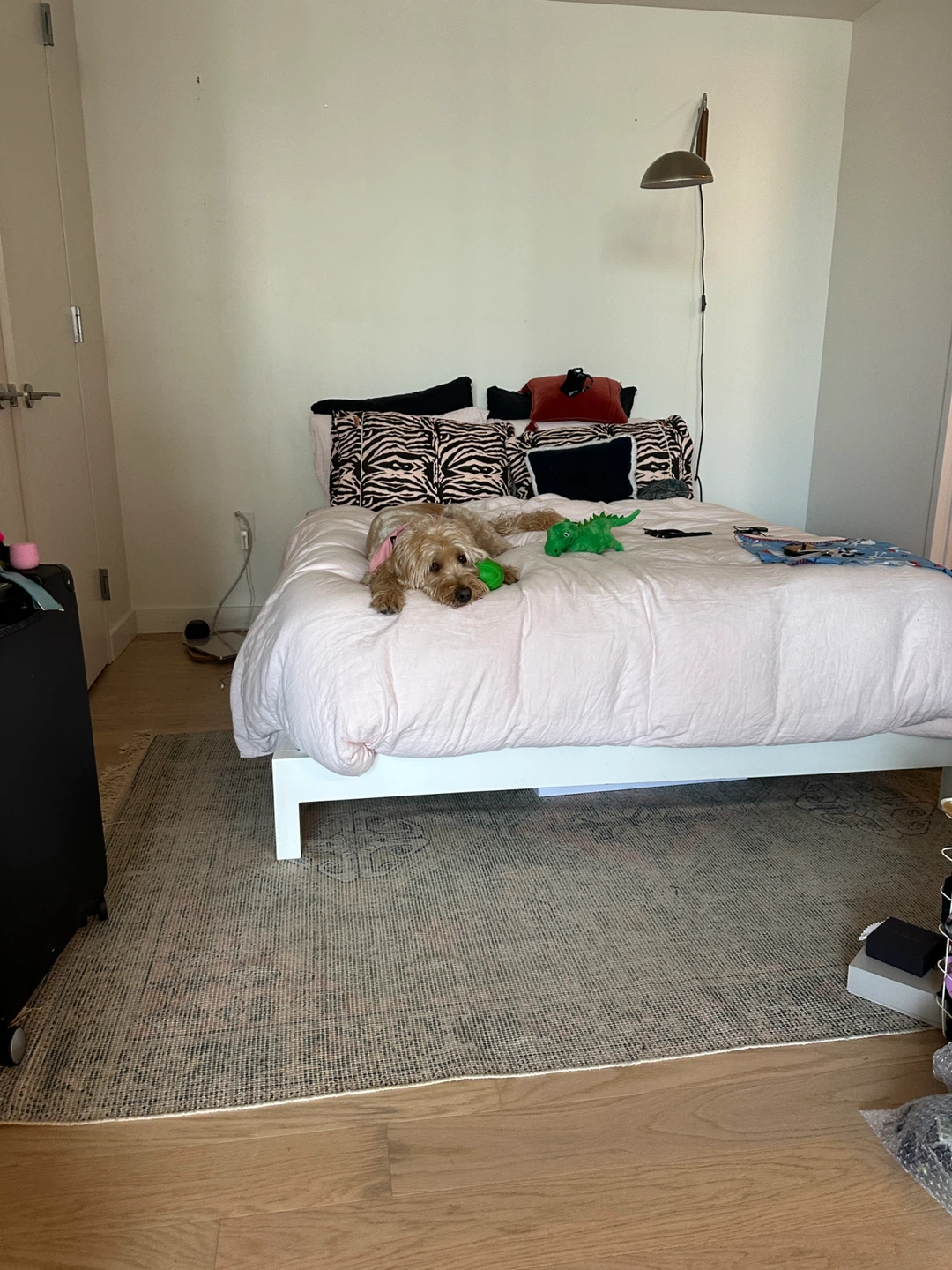 CB2 Simple White Metal Bed Frame – Queen - photo 2