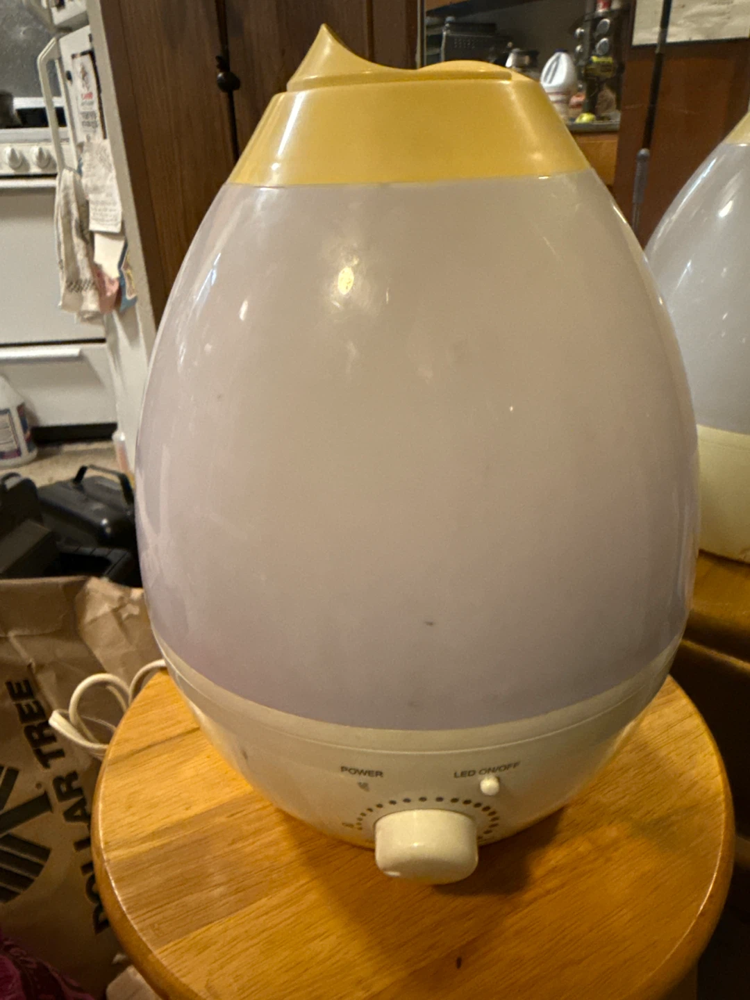 Egg Shape Humidifier