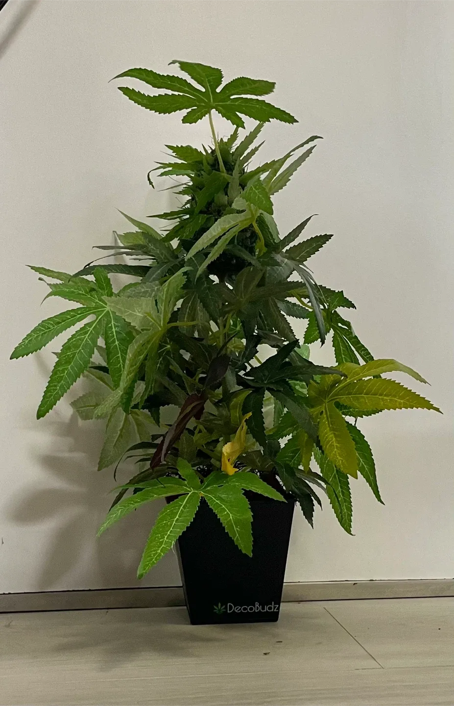 DecoBudz Artificial Plant 15” thumbnail