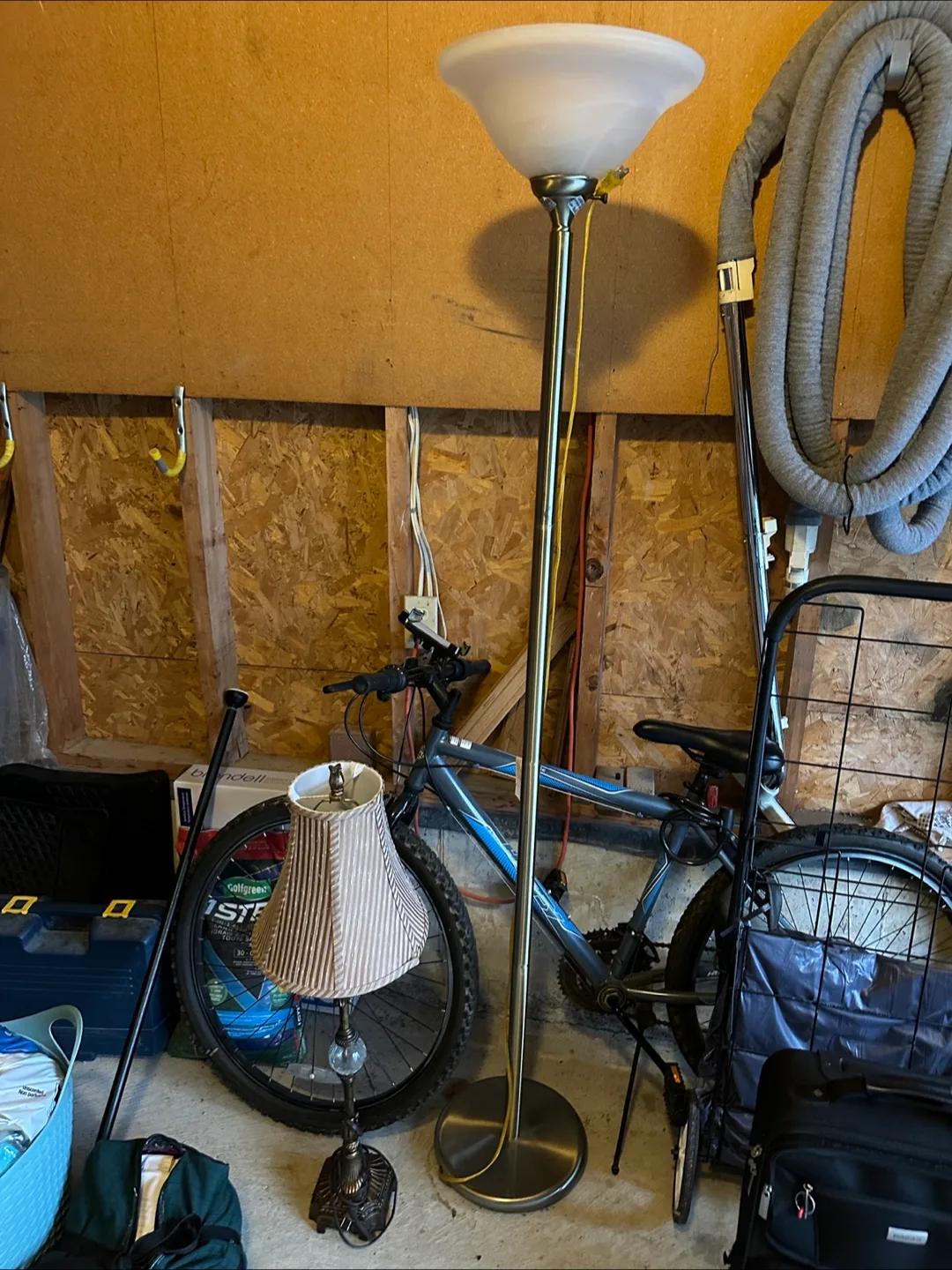 Luggage (carry on bags), Lamps, Grocery Cart image indicator(3)