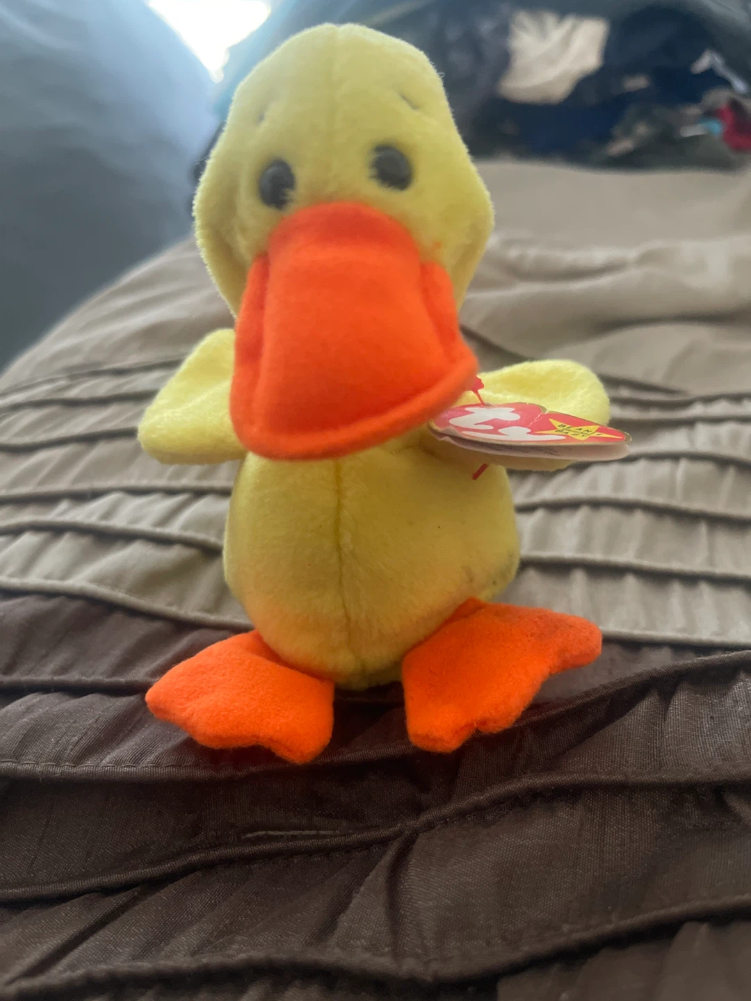 Beanie Baby Quackers the Duck