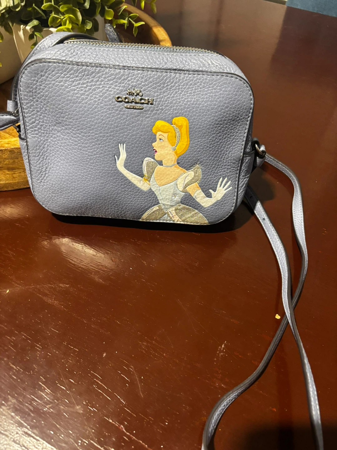 Coach Disney Cinderella Crossbody Bag