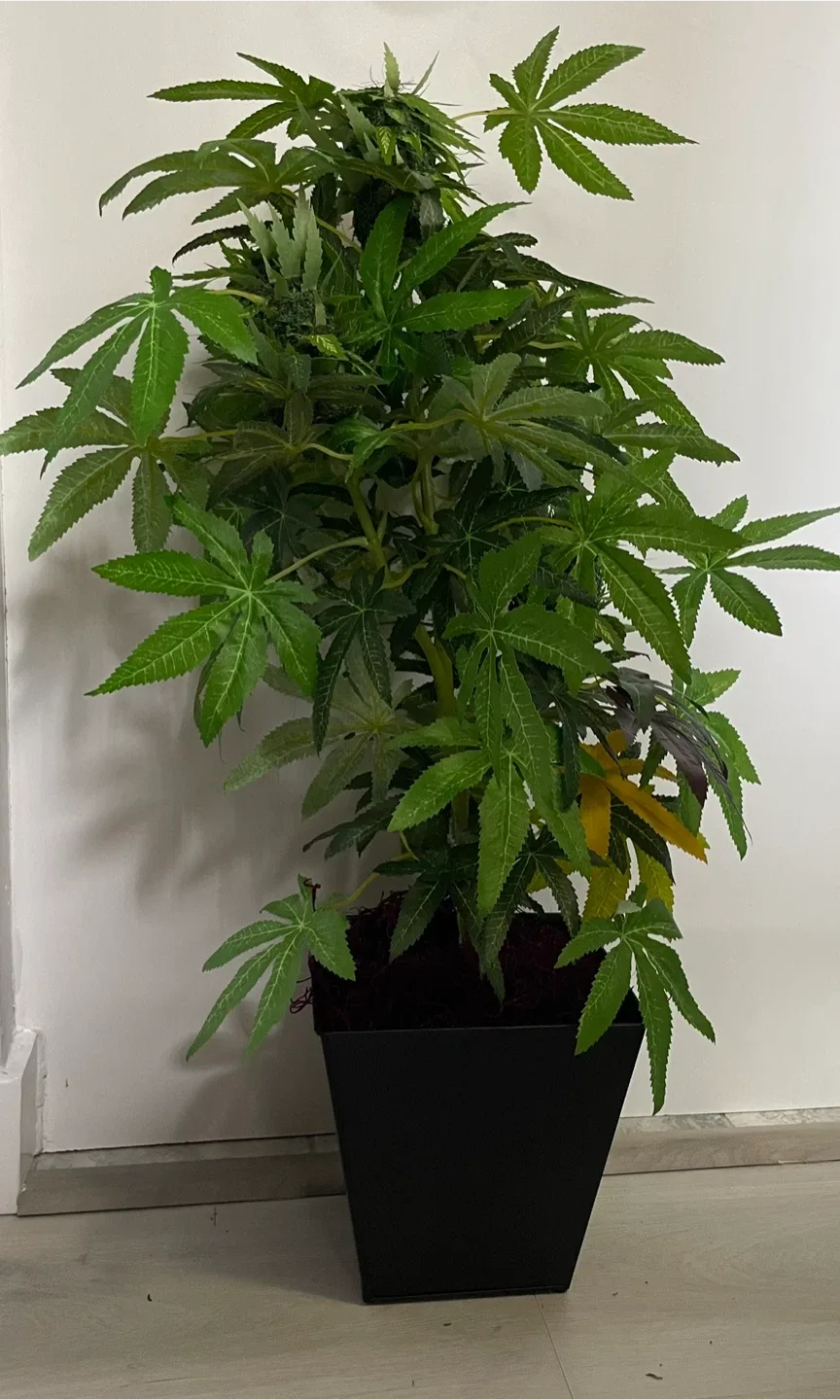 DecoBudz Kush – 28" Artificial Cannabis Plant thumbnail